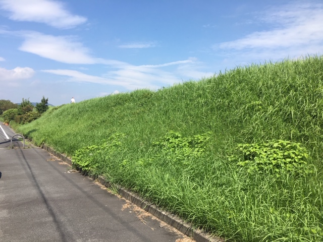 絶好のウォーキングスポット
